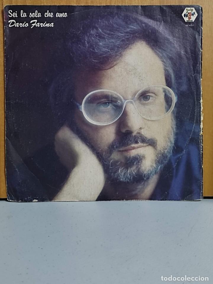 Vinyl records: dario farina, sei la sola che amo / Sei di piu