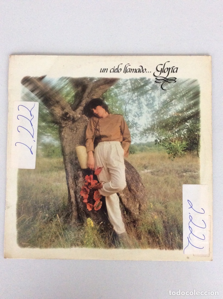 Discos de vinilo: Un cielo llamado... Gloria - Foto 1
