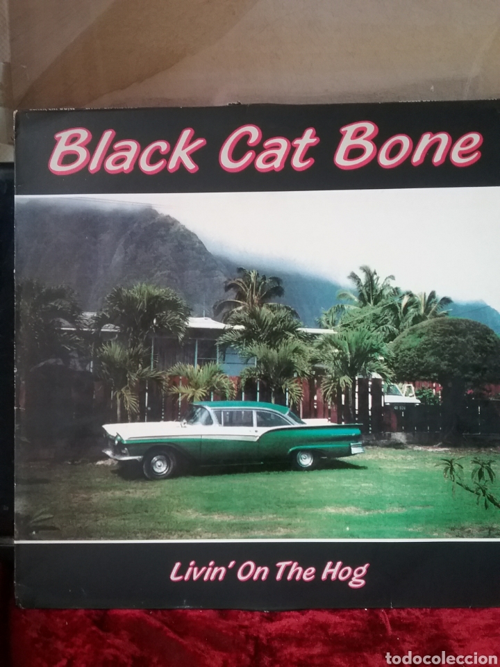 Discos de vinilo: BLACK CAT BONE 1988 Double Dutch Records - Foto 1