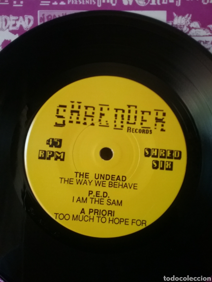 Discos de vinilo: SHREDDER Records Hardcore - Punk Series 7&rdquo; - Foto 5