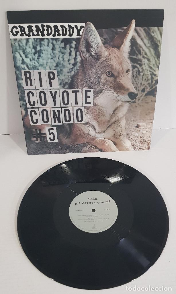 Discos de vinilo: GRANDADDY / RIP COYOTE CONDO # 5 - Foto 1