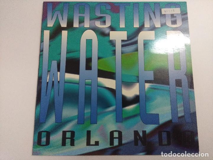 Discos de vinilo: VINILO/WASTING WATER/ORLANDO. - Foto 1