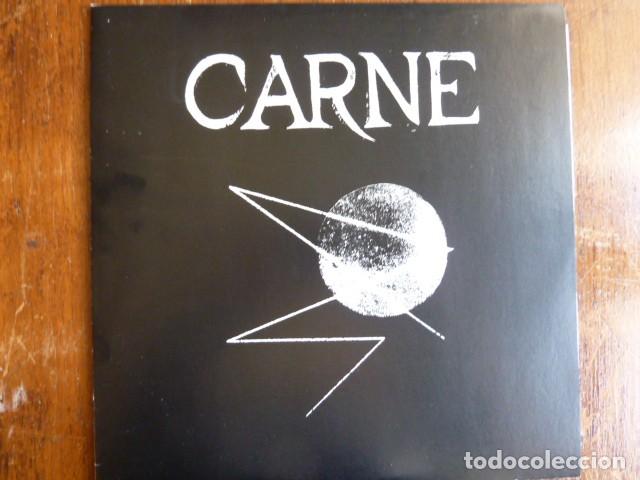 Discos de vinilo: CARNE. (Neo PUNK) - Foto 1