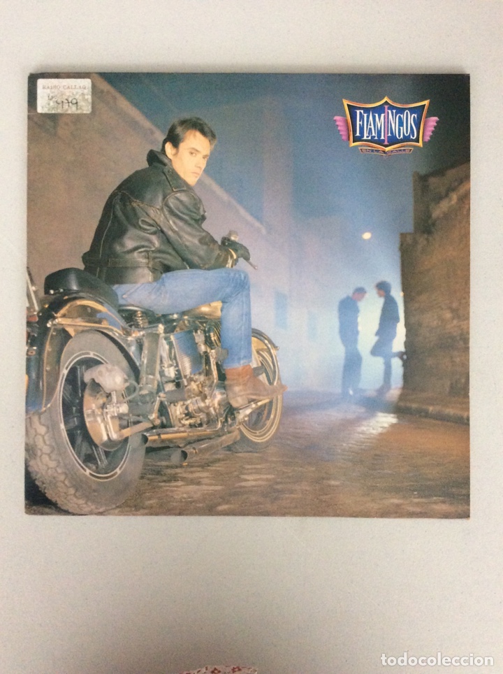 Discos de vinilo: Flamingos. En la calle - Foto 1
