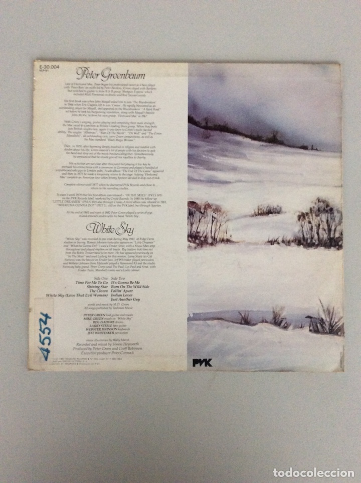 Discos de vinilo: Peter Green. White sky - Foto 2