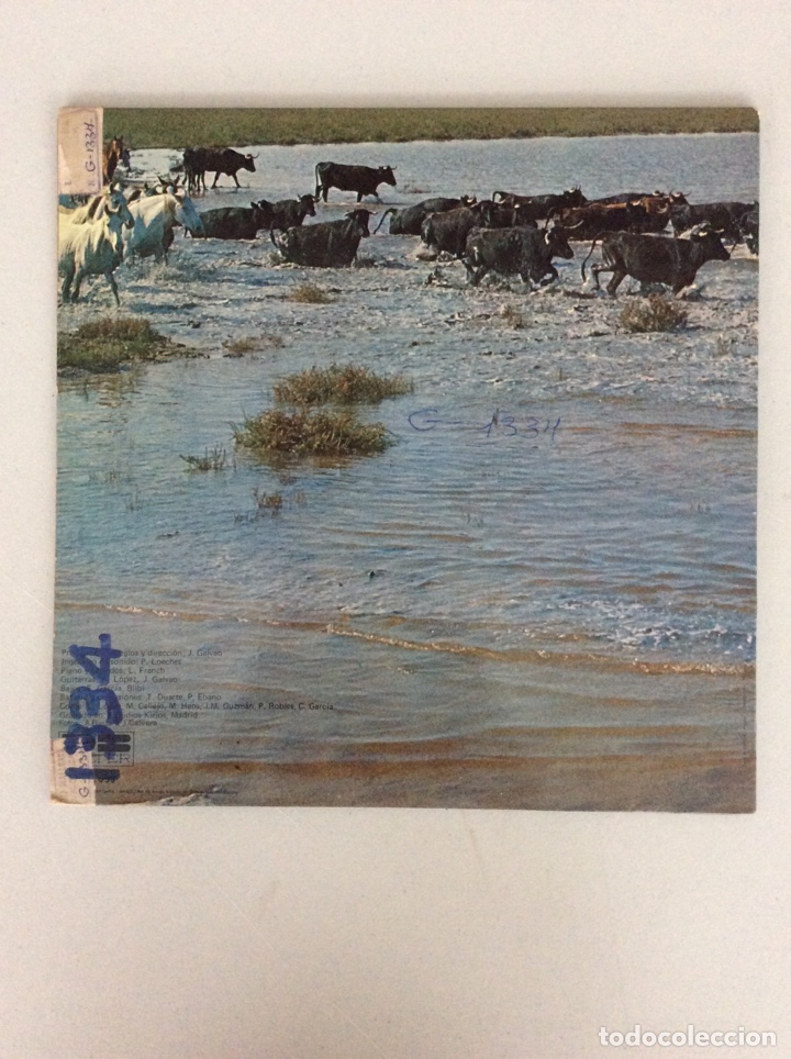 Discos de vinilo: Entre dos aguas. Rafael Peralta - Foto 2