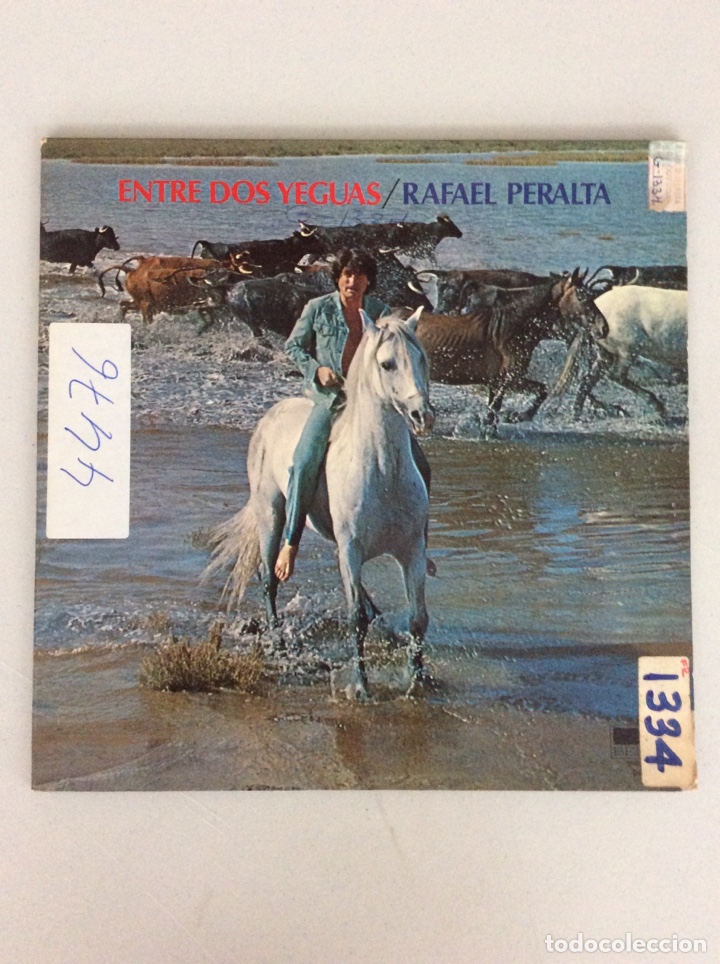 Discos de vinilo: Entre dos aguas. Rafael Peralta - Foto 1