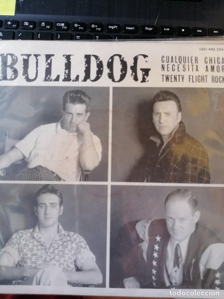 Bulldog Cualquier Chica Necesita Amor Rockabi Buy Vinyl Singles Rock Roll Music At Todocoleccion 274314803