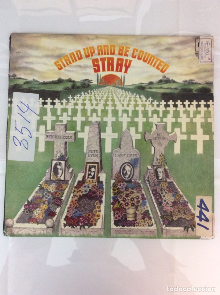 Dischi in vinile: Stand up and becounted. Stray