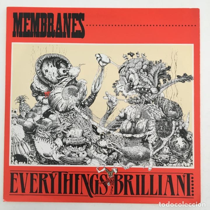 Discos de vinil: The Membranes – Everything's Brilliant, UK 1986 In Tape