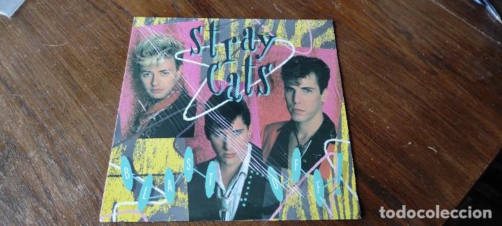 Discos de vinilo: DISCO LP STRAY CATS / ROCKABILLY - Foto 1