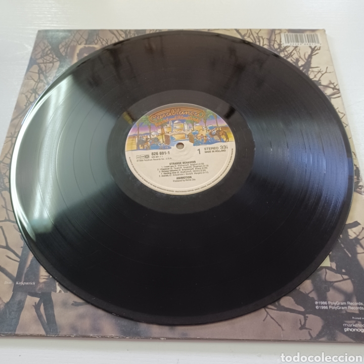 Discos de vinilo: AMONITION - STRANGE BEHAVIOR 1986 HOLLAND - Foto 4