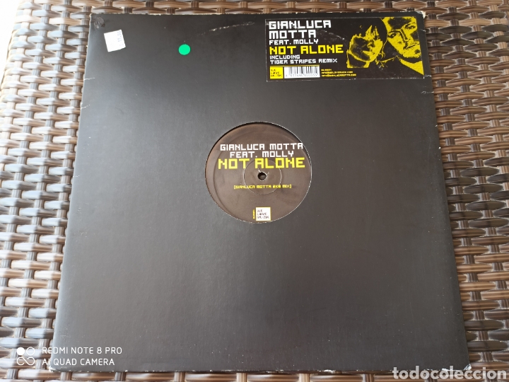 Discos de vinilo: Gianluca Motta Feat. Molly - Not Alone (12&rdquo;) - Foto 1