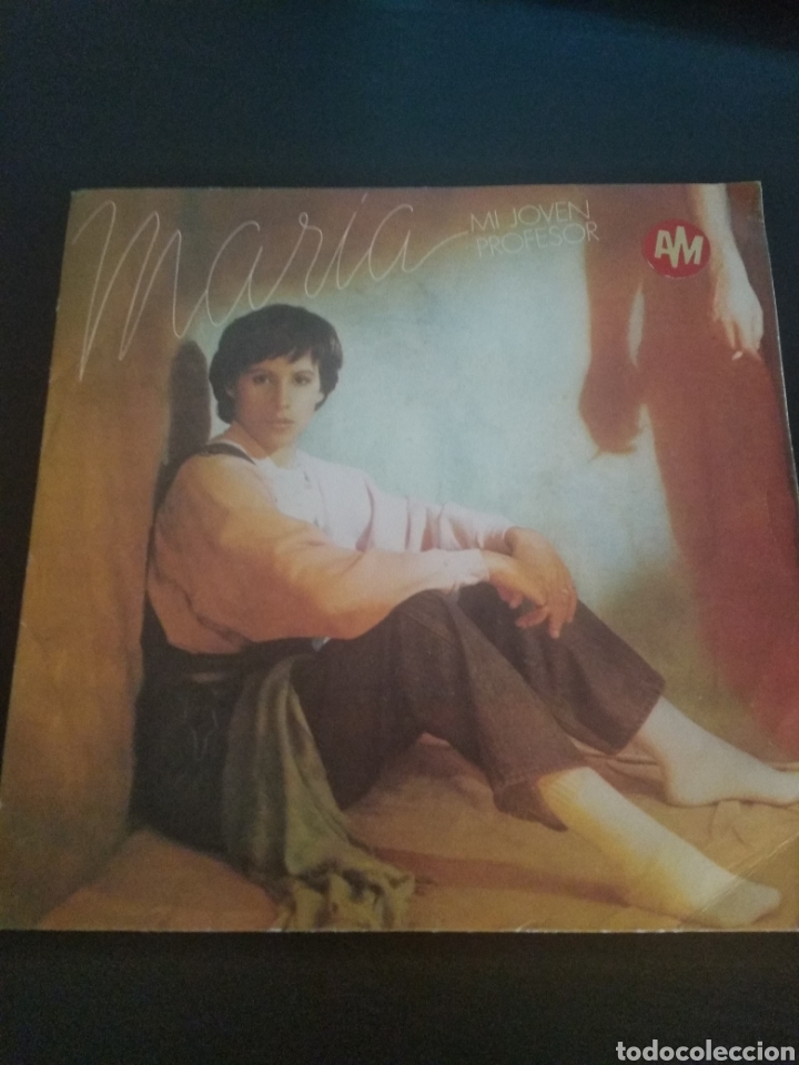 Discos de vinilo: Mar&iacute;a - single vinilo - Foto 1