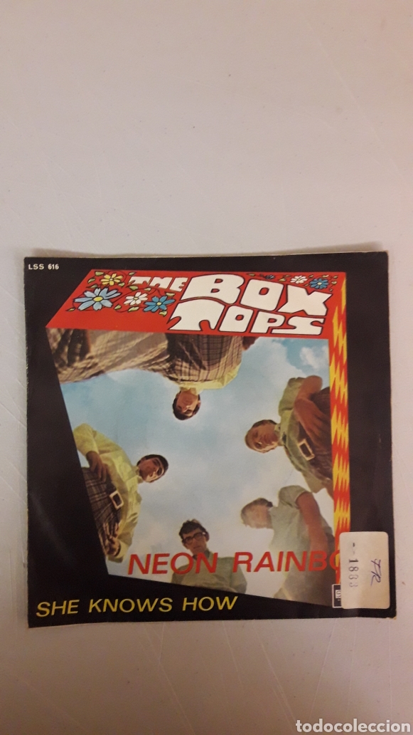 Discos de vinilo: THE BOX TOPS. NEON RAINBOW - Foto 1