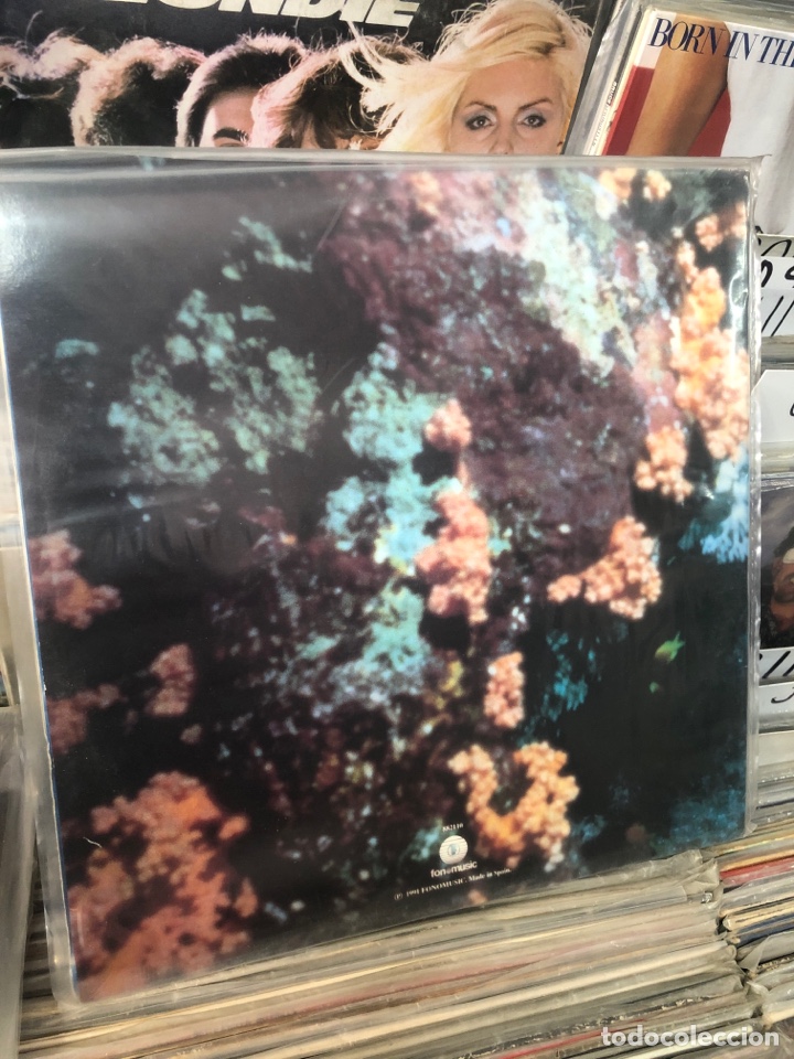 Discos de vinilo: Ciudad jard&iacute;n at&uacute;n y algas - Foto 2