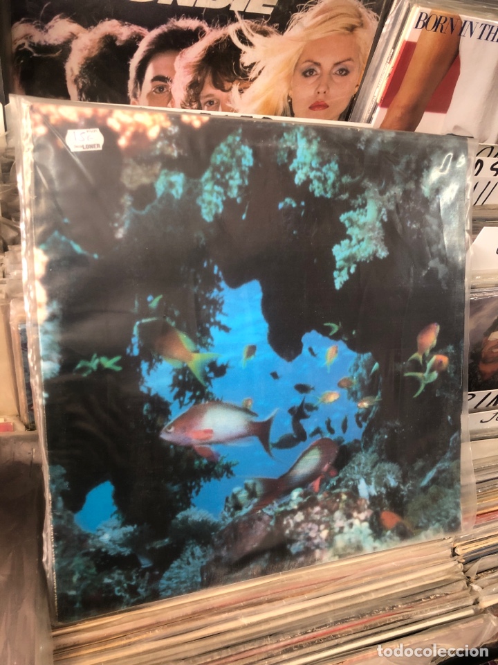 Discos de vinilo: Ciudad jard&iacute;n at&uacute;n y algas - Foto 1