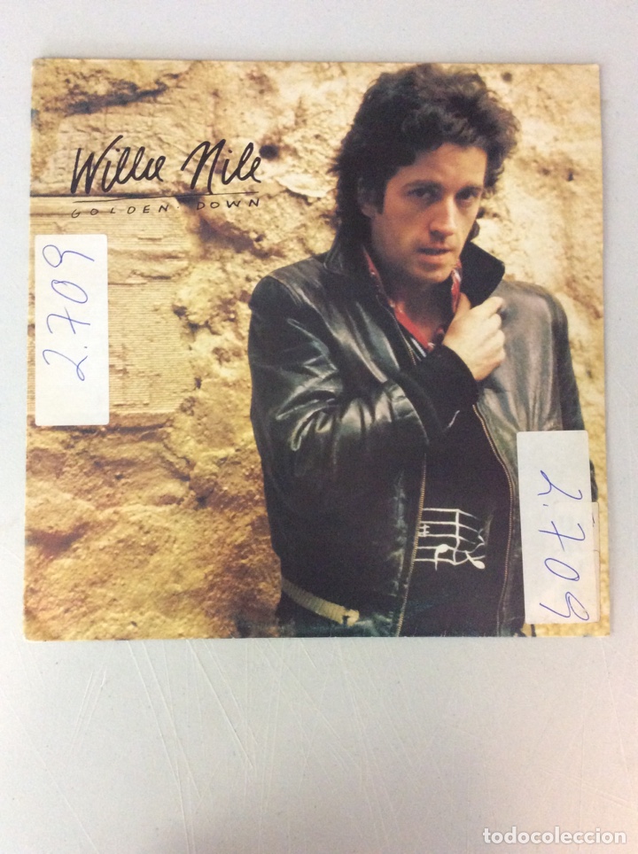 Discos de vinilo: Willie Nile. Golden down - Foto 1