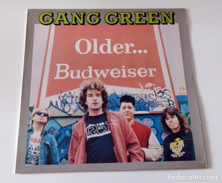 Discos de vinilo: LP GANG GREEN - OLDER...BUDWEISER - Foto 1