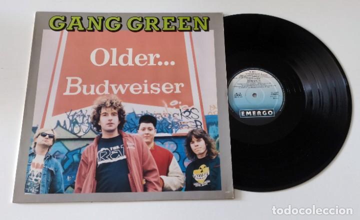 Discos de vinilo: LP GANG GREEN - OLDER...BUDWEISER - Foto 3