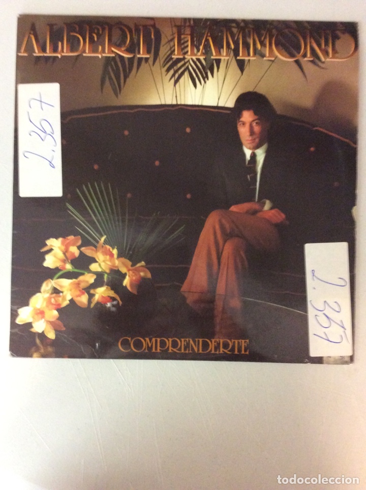 Discos de vinilo: Albert Hammond. Comprenderte - Foto 1