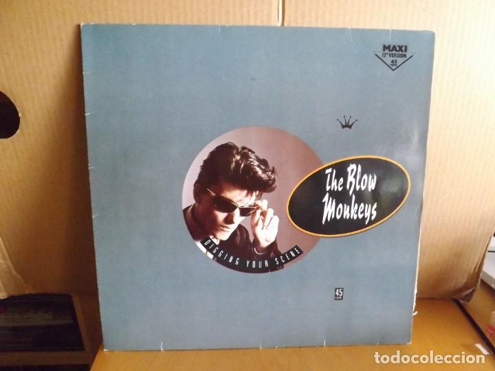 Discos de vinilo: THE BLOW MONKEYS ---- DIGGIN YOUR SCENE - MAXI SINGLE - Foto 1