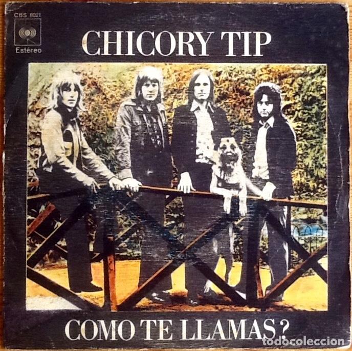 Discos de vinilo: CHICORY TIP : WHATS YOUR NAME? [CBS - ESP 1972] 7&rdquo; - Foto 1