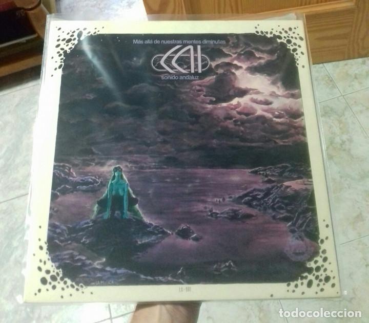 Discos de vinilo: CAI MAS ALLA DE NUESTRAS MENTES DIMINUTAS - Foto 1