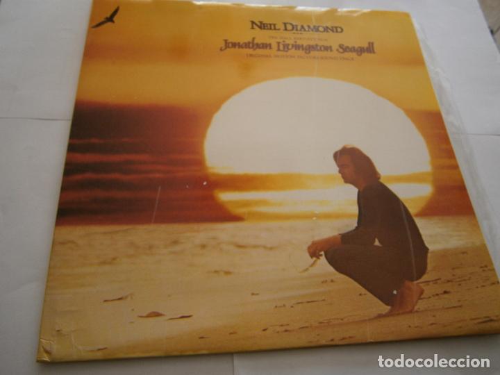 Discos de vinilo: ANTIGUO DISCO LP VINILO - NEIL DIAMOND - D2 - Foto 1