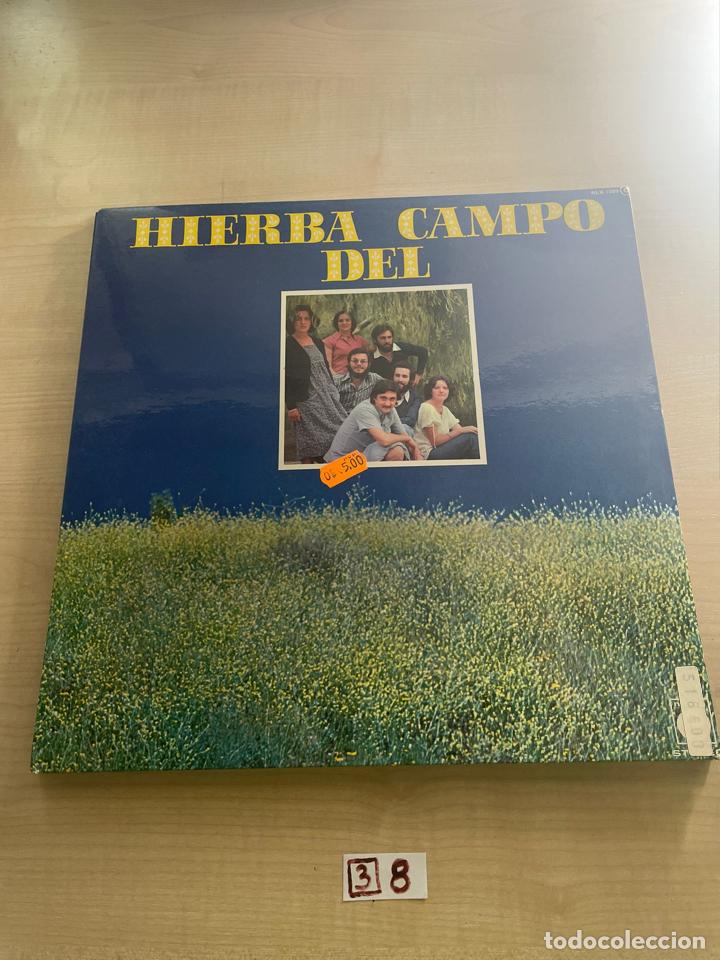 Discos de vinilo: Hierba del campo - Foto 1