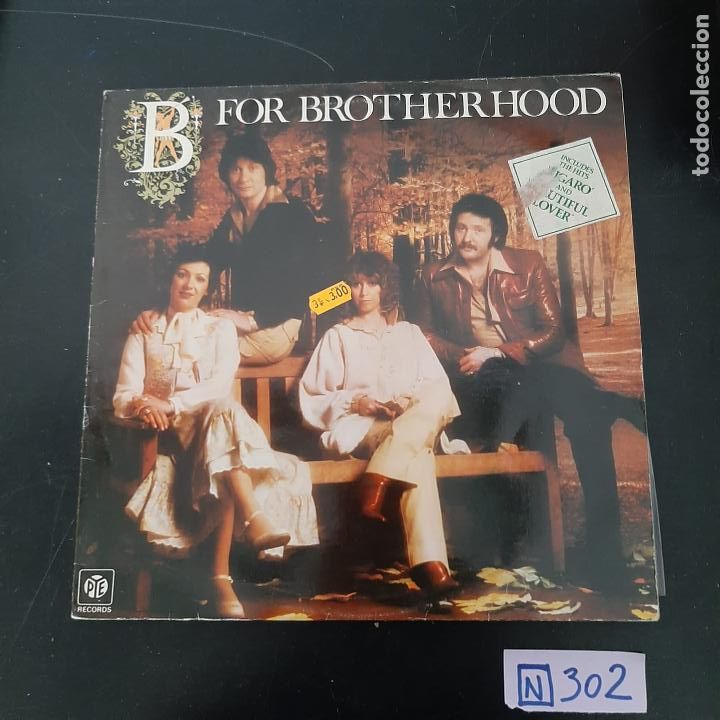 Discos de vinilo: B For Brotherhood - Foto 1