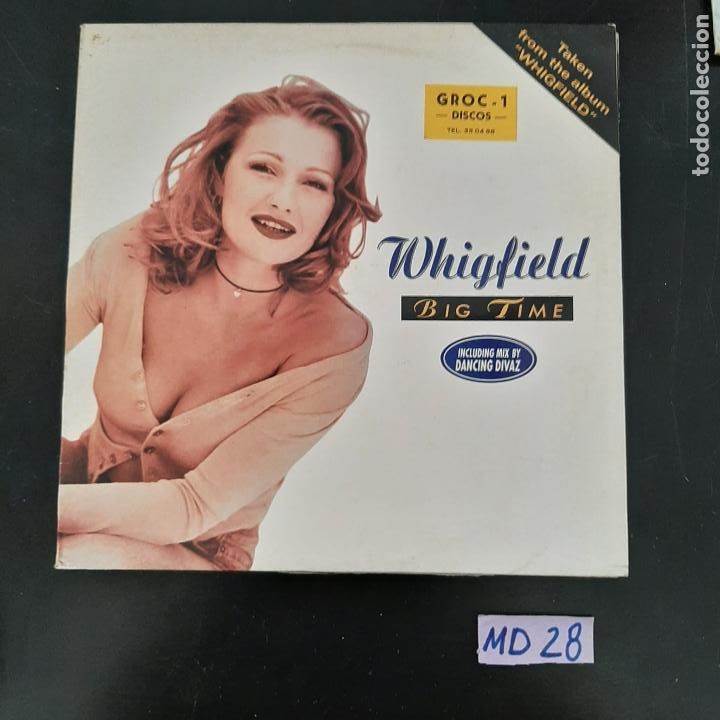 Discos de vinilo: Whigfield - Foto 1