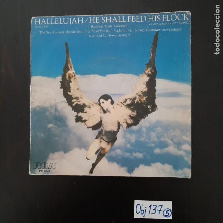 Discos de vinilo: Hallelujah - Foto 1