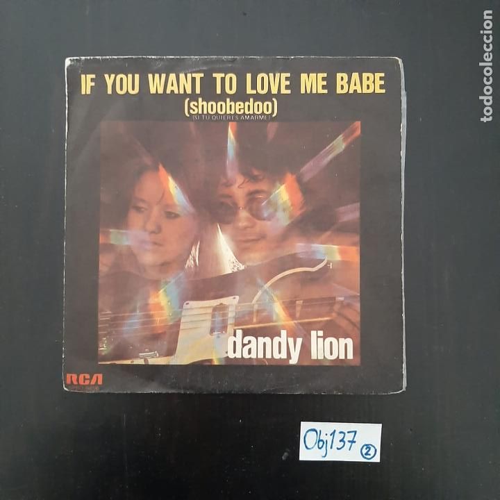 Discos de vinilo: Dandy Lion - Foto 1