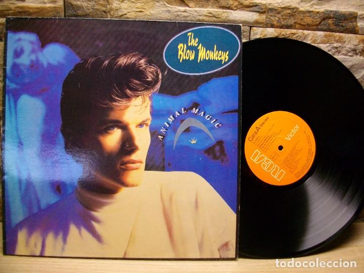 Discos de vinilo: The Blow Monkeys &ndash; Animal Magic LP - Foto 1