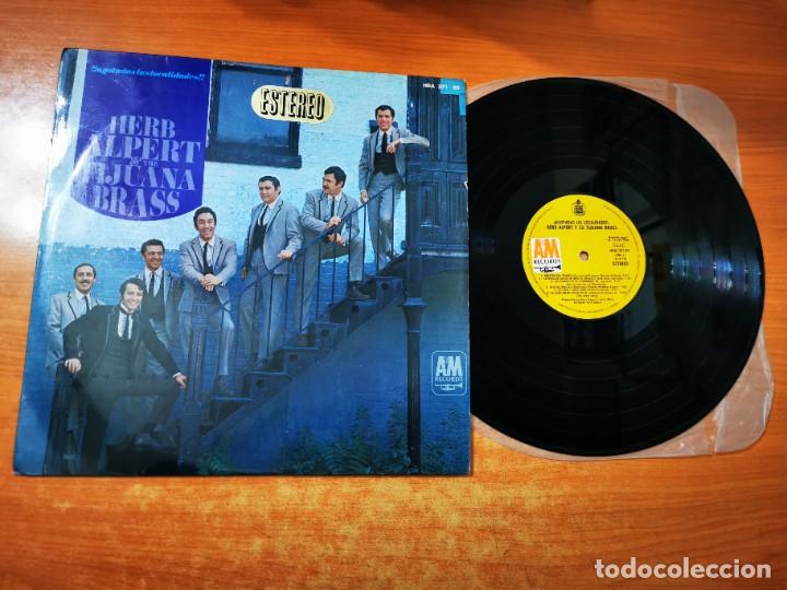 Vinyl records: HERB ALPERT & THE TIJUANA BRASS Agotadas las localidades LP VINILO DEL A&Ntilde;O 1966 ESPA&Ntilde;A 12 TEMAS