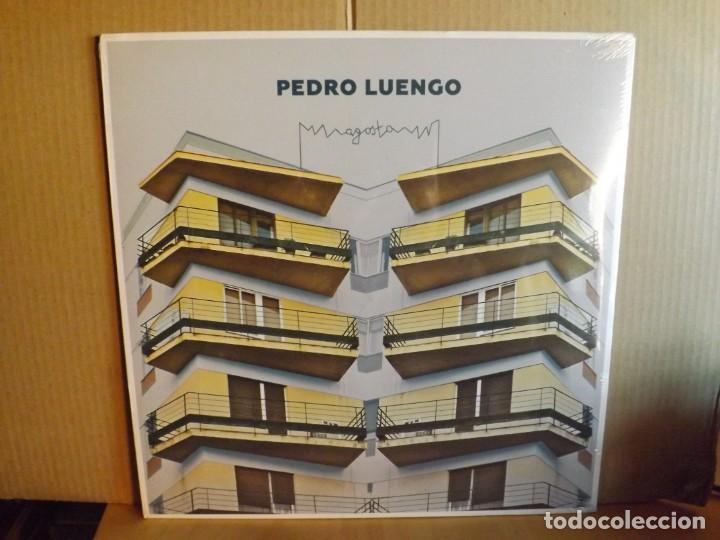 Discos de vinilo: PEDRO LUENGO ---- AGOSTO --- NUEVO - Foto 1