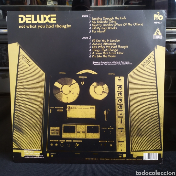 Discos de vinilo: Deluxe - Not What You Had Thought 2001 - Foto 2