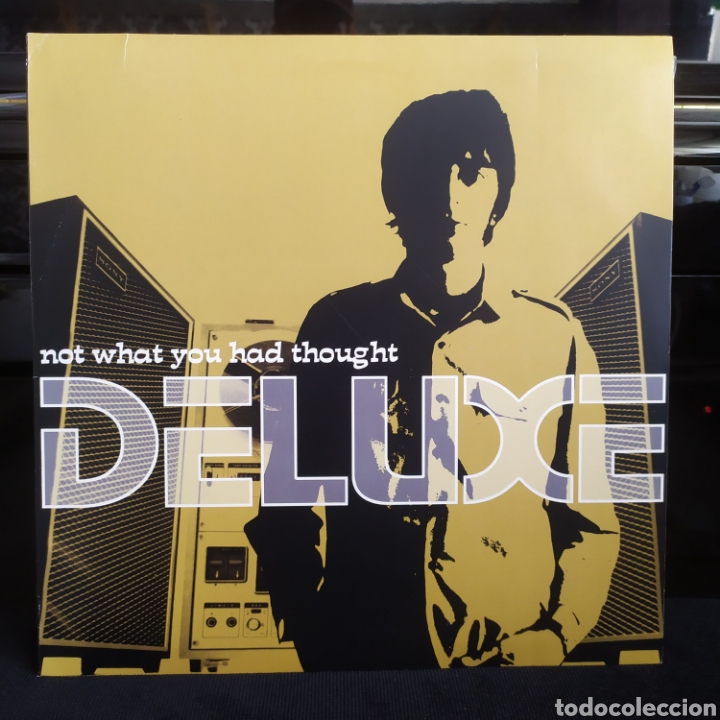 Discos de vinilo: Deluxe - Not What You Had Thought 2001 - Foto 1