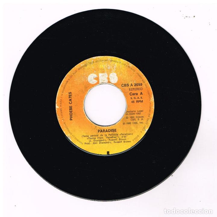 Discos de vinilo: PHOEBE CATES - PARADISE (2 VERSIONES) - SINGLE 1982 - SOLO VINILO - Foto 1