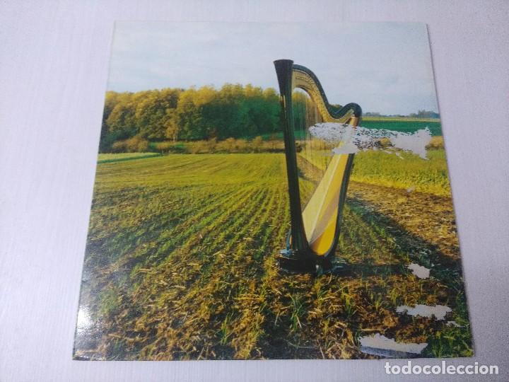 Discos de vinilo: WIM MERTENS/EDUCES ME/VINILO. - Foto 1