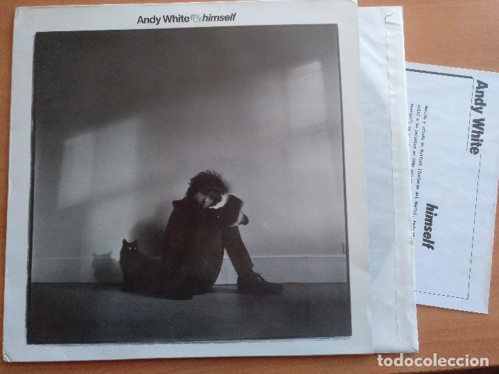 Discos de vinilo: ANDY WHITE HIMSELF LP HOJA PROMO NUEVO - Foto 1