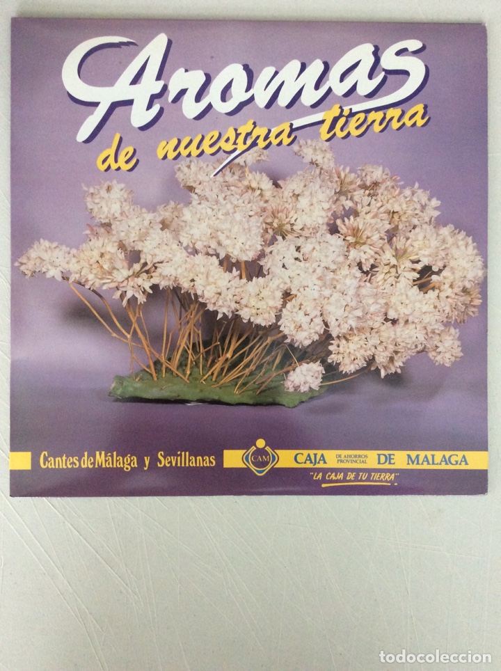 Discos de vinilo: Aromas de nuestra tierra. Cantes de M&aacute;laga y sevillanas. Caja de ahorros de M&aacute;laga