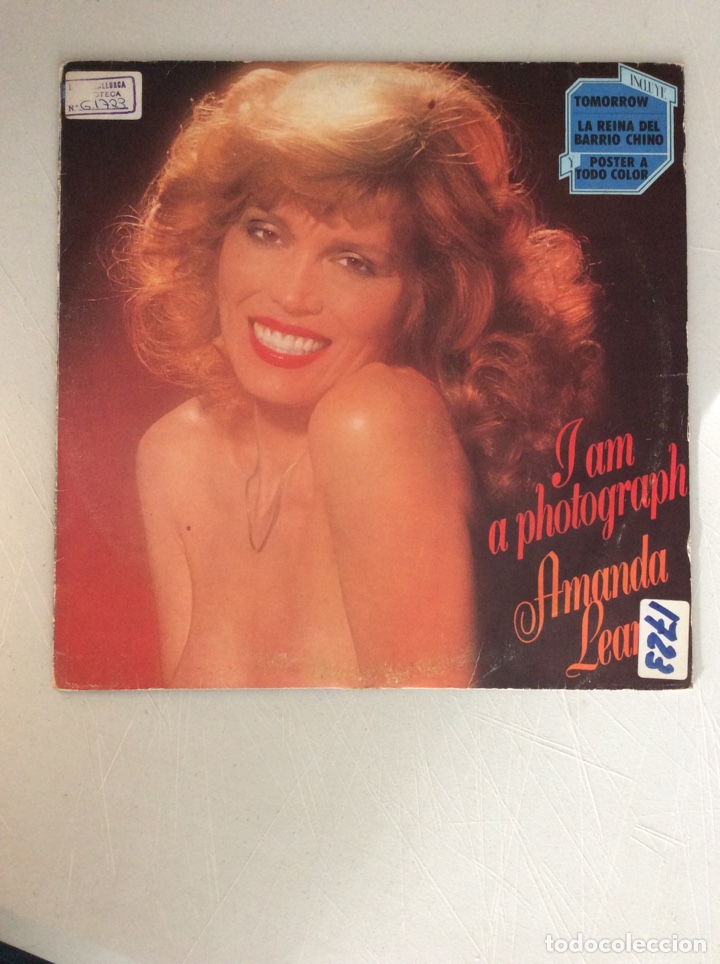 Discos de vinilo: Amanda Lear. I am a photograph - Foto 1