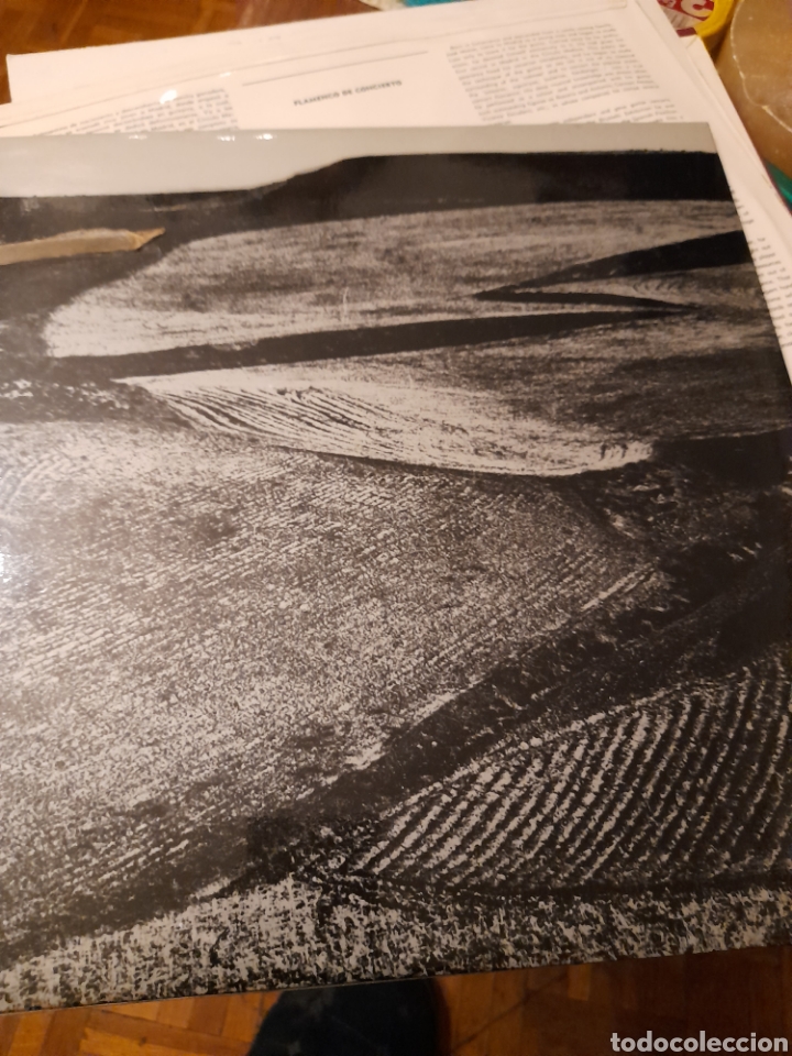 Discos de vinilo: Canciones del campo ,Joaqu&iacute;n D&iacute;az, a estrenar - Foto 2