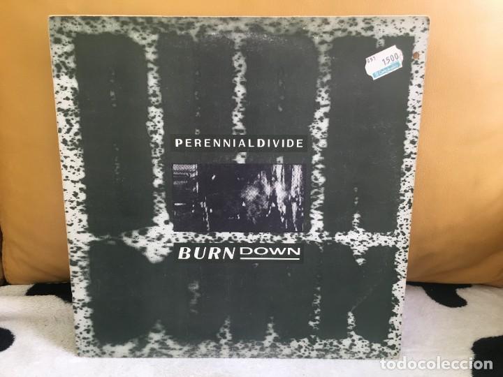 Discos de vinilo: Perennial divide burn down - Foto 1