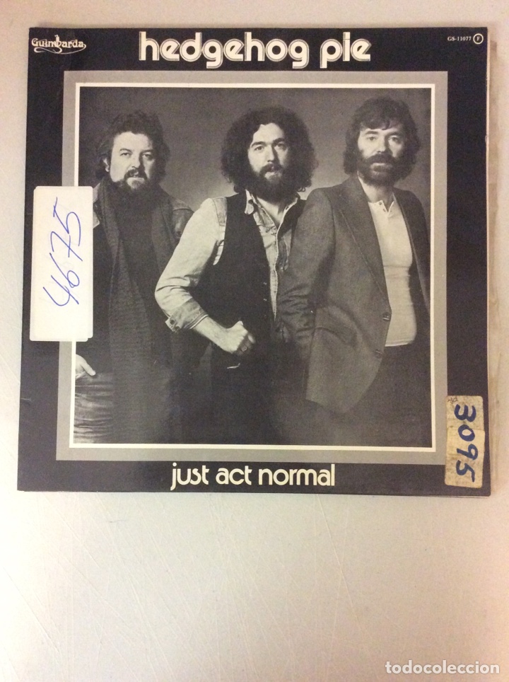 Discos de vinilo: Hedgehog pie. Just act normal. - Foto 1