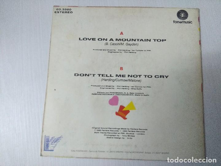Discos de vinilo: SINITTA/LOVE ON A MOUNTAIN TOP/SINGLE. - Foto 3