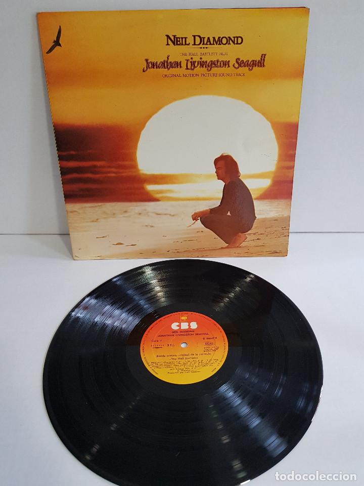 Discos de vinilo: NEIL DIAMOND - JONATHAN LIVINGSTON SEAGULL - Foto 3