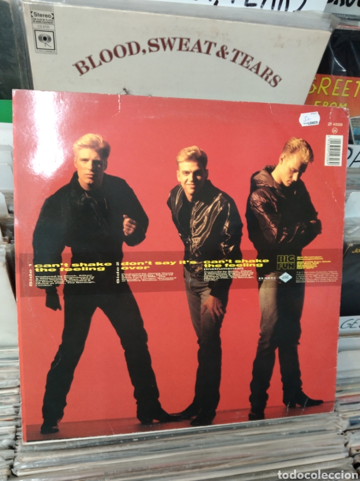 Discos de vinilo: Big fun Cant shake the feeling - Foto 2